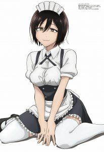 Revista Megami