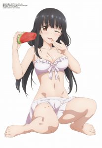 Revista Megami