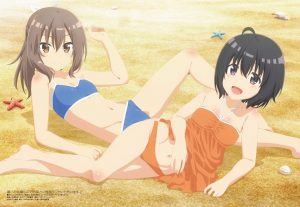 Revista Megami